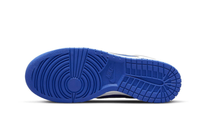 DunkLowRacerBlueWhite2_800x.png