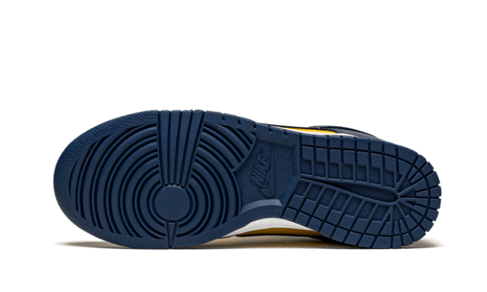 dunk-low-michigan-583028_800x.png