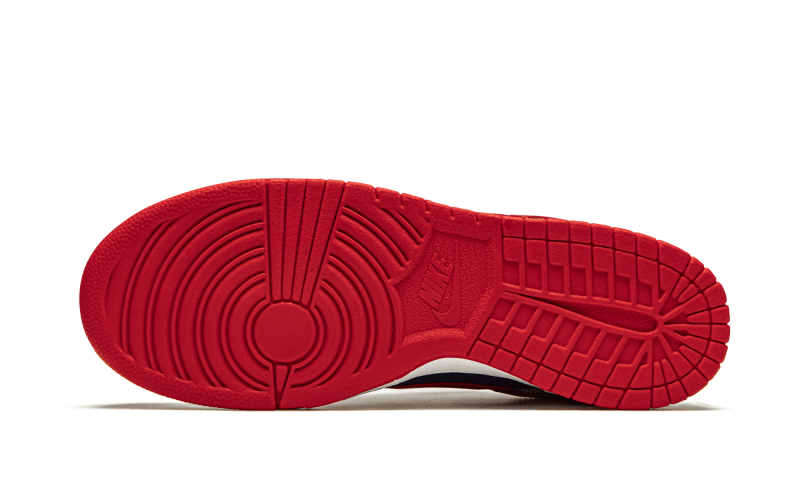 dunk-low-samba-2020-379137_800x.png