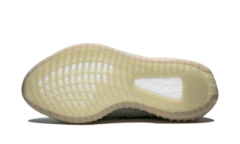yeezy-boost-350-v2-true-form-830838_800x.png